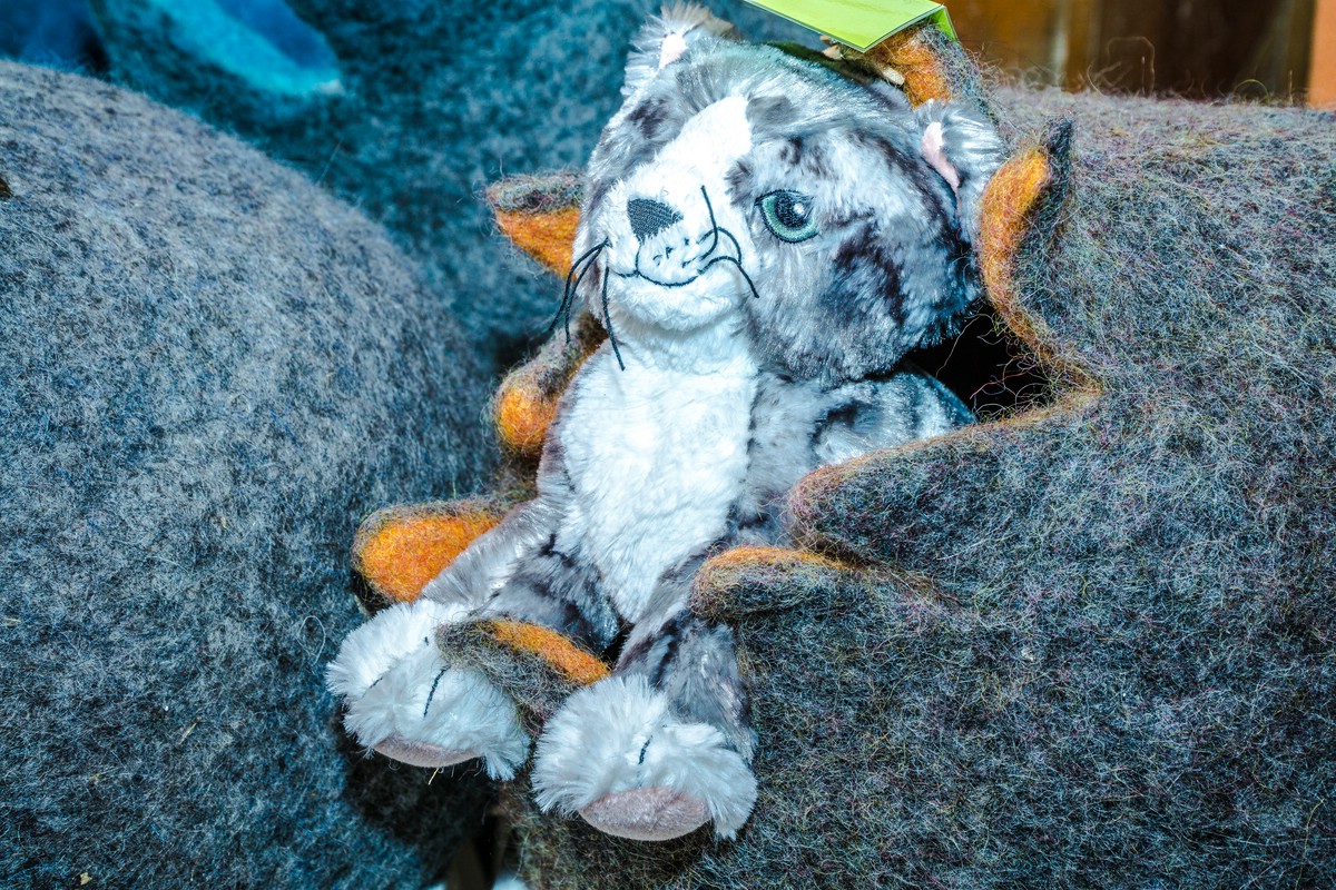 O Fotomagazin / Martinimarkt in Steinerkirchen 2016